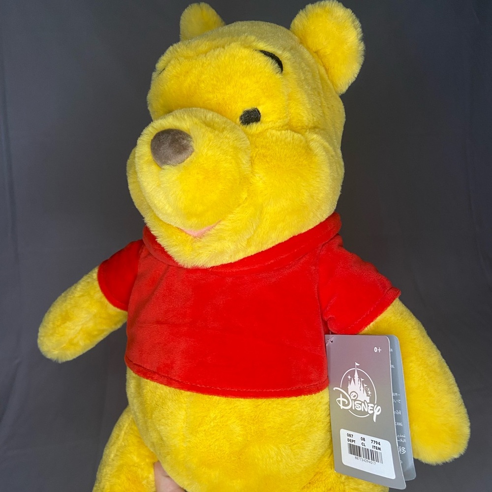Disney Winnie The Pooh Plushie